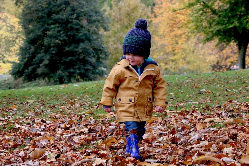 Boswandeling in de herfst