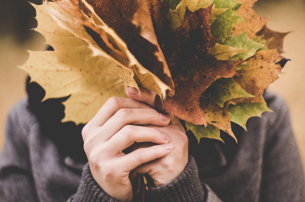 Boswandeling in de herfst