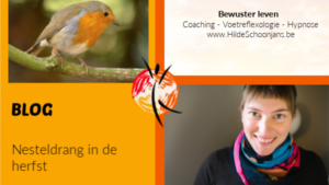 Blog - Nesteldrang in de herfst