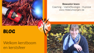 Blog - Welkom kerstboom