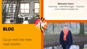 Ga je met me mee - Niels Destadsbader