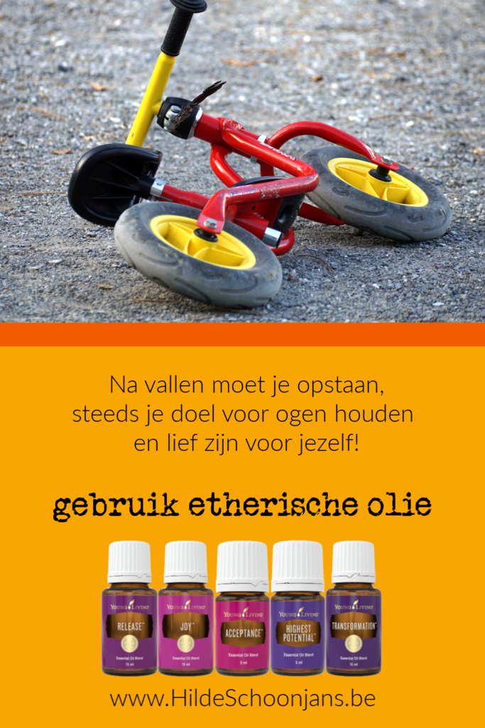 het leven is vallen en opstaan