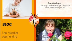 BLOG - een huisdier voor je kind