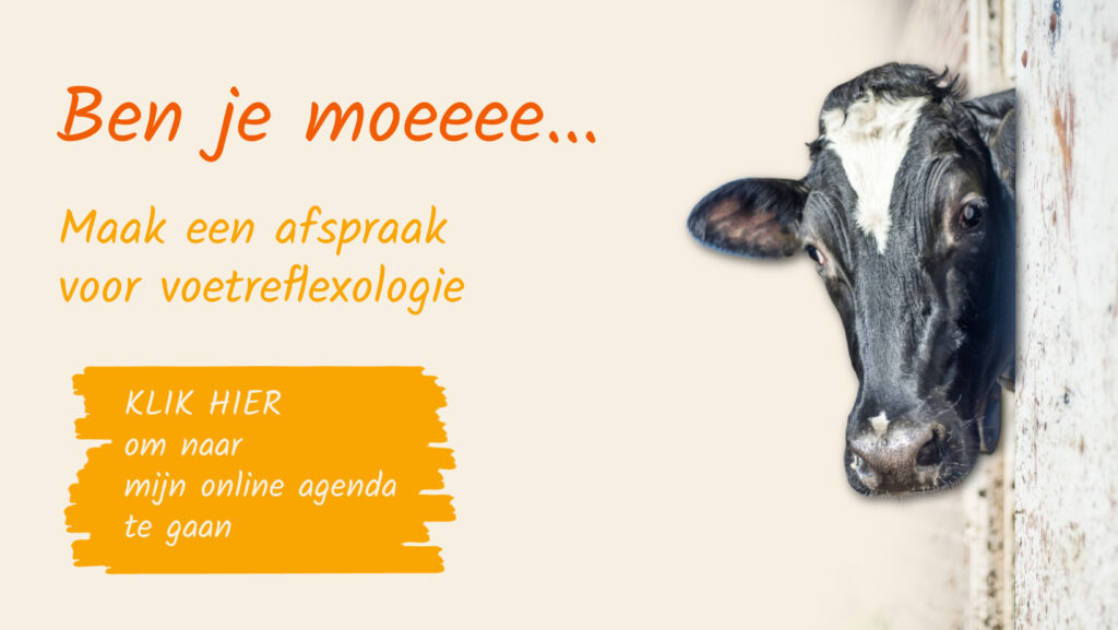 Mijn innerlijke saboteur is mijn beste vriendin
