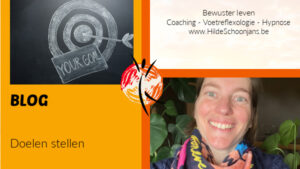 doelen stellen